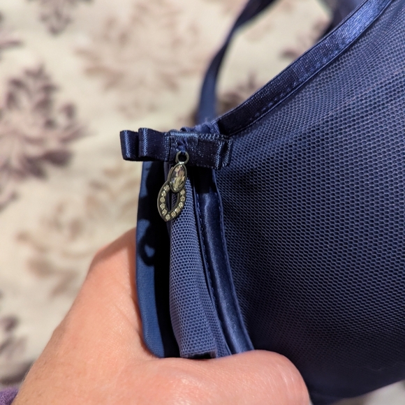 Victoria's Secret Blue Sheer Mesh Push-Up Bra 36DDD - Picture 4 of 5